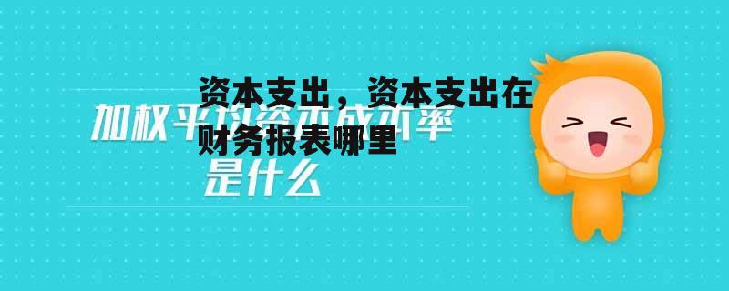 资本支出，资本支出在财务报表哪里