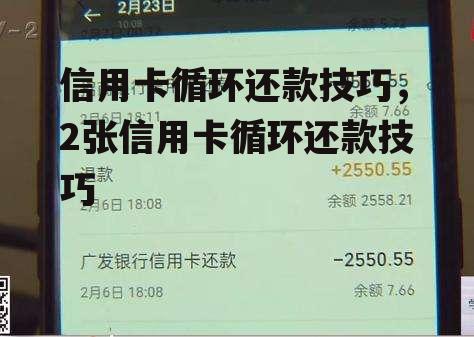 信用卡循环还款技巧，2张信用卡循环还款技巧