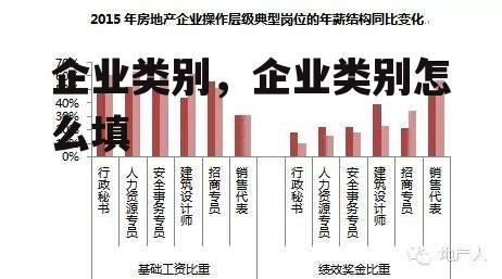 企业类别，企业类别怎么填