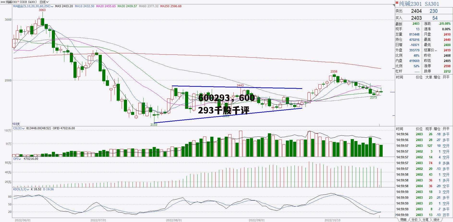 600293，600293千股千评