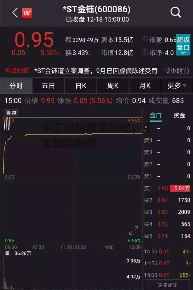 中工国际股票股吧，中工国际股份