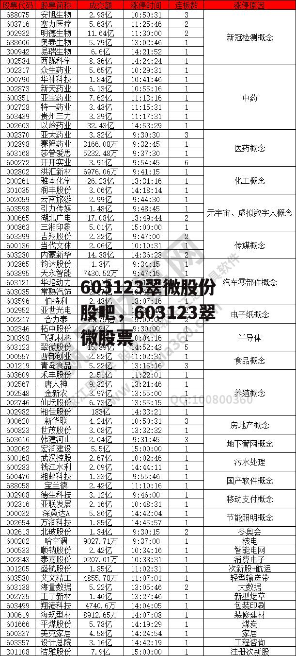 603123翠微股份股吧，603123翠微股票