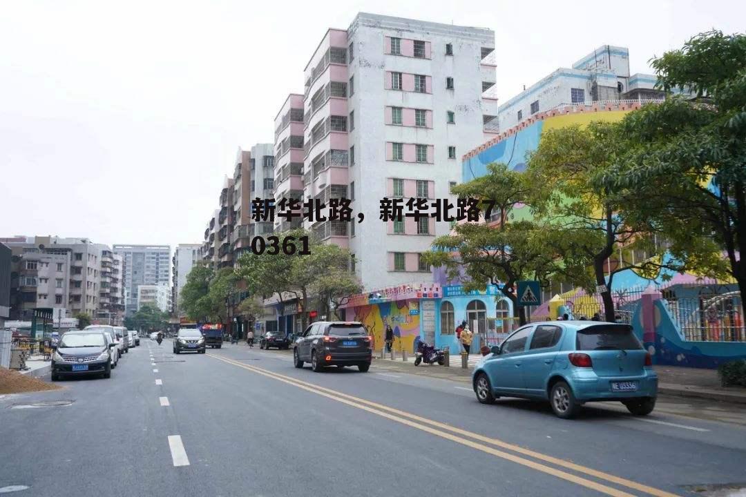 新华北路，新华北路70361