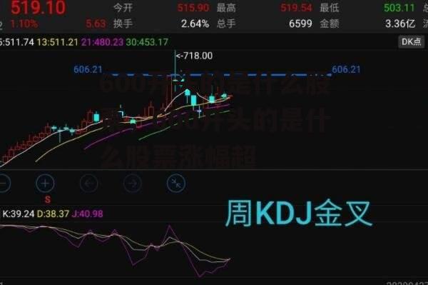 600开头的是什么股票，600开头的是什么股票涨幅超