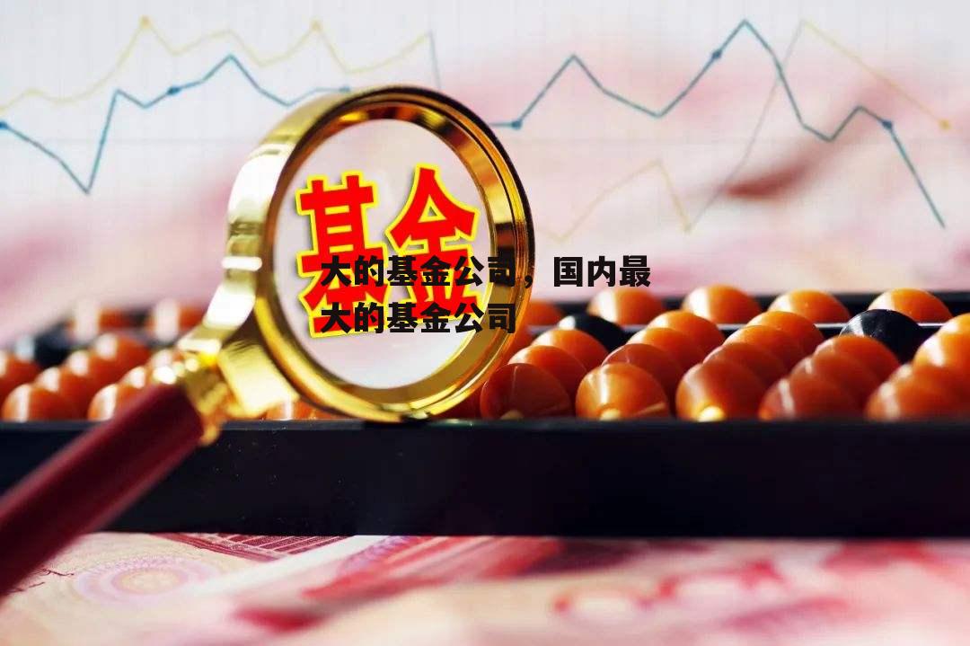 大的基金公司，国内最大的基金公司