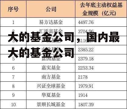 大的基金公司，国内最大的基金公司