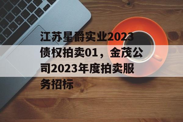 江苏星爵实业2023债权拍卖01，金茂公司2023年度拍卖服务招标