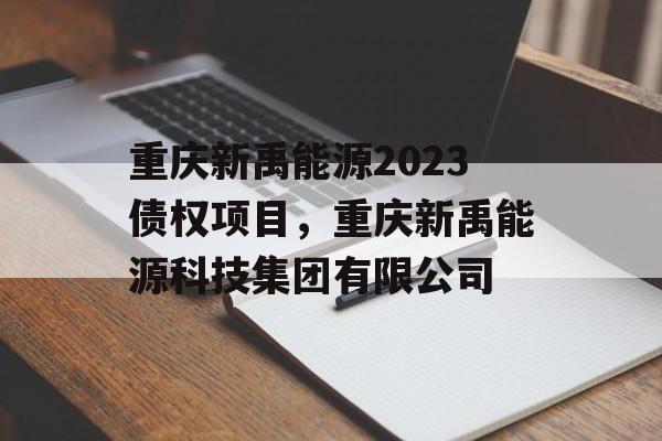 重庆新禹能源2023债权项目，重庆新禹能源科技集团有限公司