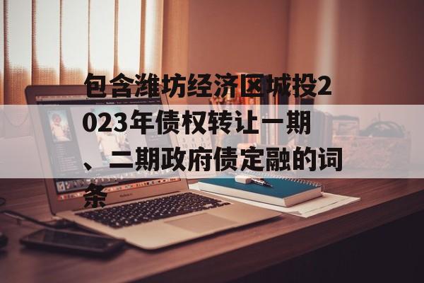 包含潍坊经济区城投2023年债权转让一期、二期政府债定融的词条