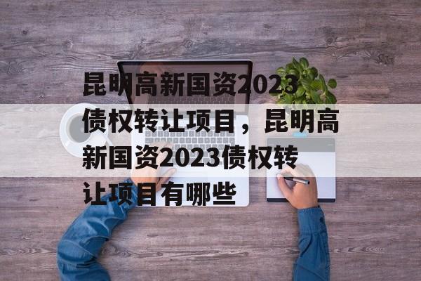 昆明高新国资2023债权转让项目，昆明高新国资2023债权转让项目有哪些