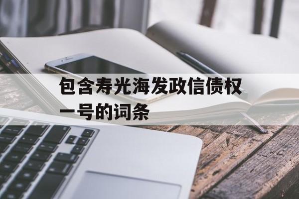 包含寿光海发政信债权一号的词条