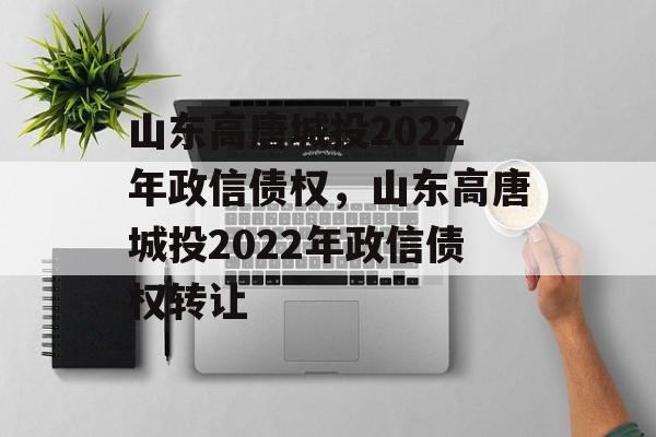 山东高唐城投2022年政信债权，山东高唐城投2022年政信债权转让