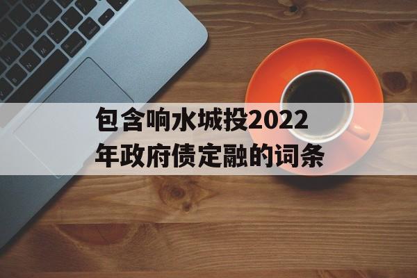 包含响水城投2022年政府债定融的词条