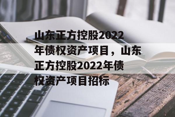 山东正方控股2022年债权资产项目，山东正方控股2022年债权资产项目招标