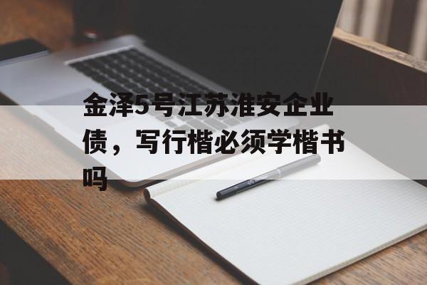 金泽5号江苏淮安企业债，写行楷必须学楷书吗