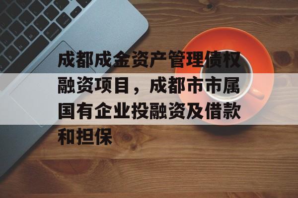 成都成金资产管理债权融资项目，成都市市属国有企业投融资及借款和担保