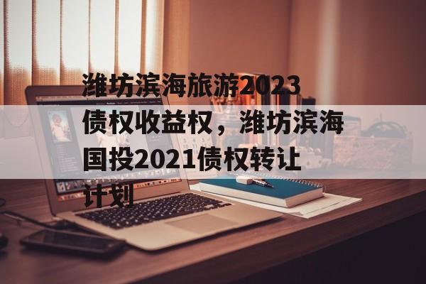 潍坊滨海旅游2023债权收益权，潍坊滨海国投2021债权转让计划