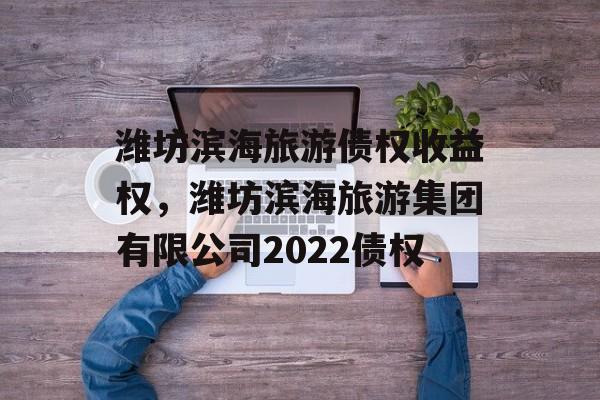 潍坊滨海旅游债权收益权，潍坊滨海旅游集团有限公司2022债权