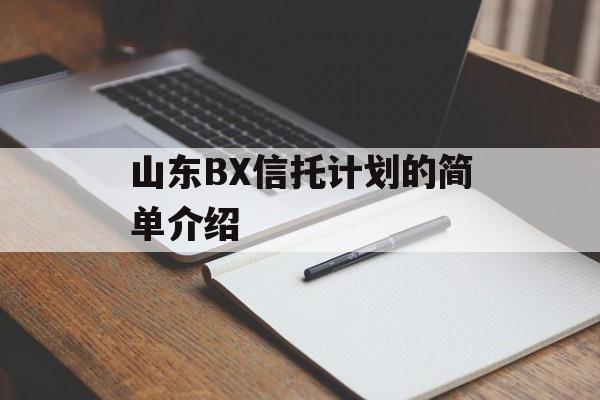 山东BX信托计划的简单介绍