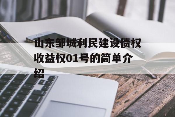 山东邹城利民建设债权收益权01号的简单介绍