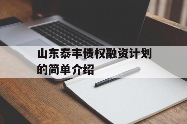 山东泰丰债权融资计划的简单介绍