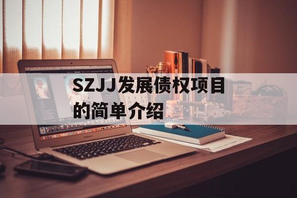 SZJJ发展债权项目的简单介绍