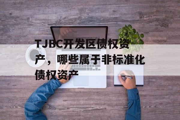 TJBC开发区债权资产，哪些属于非标准化债权资产