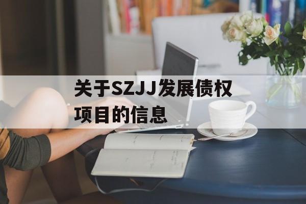 关于SZJJ发展债权项目的信息