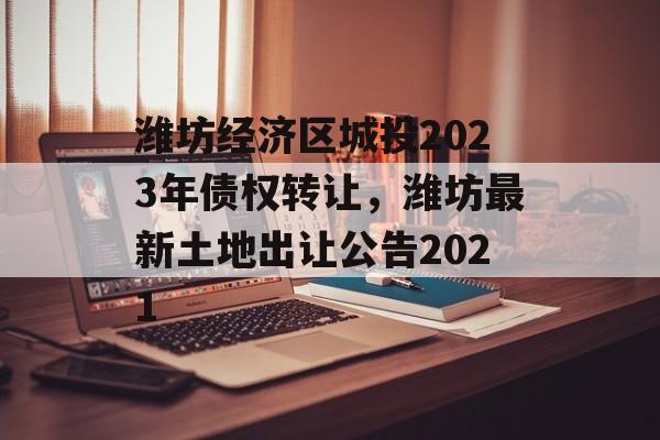 潍坊经济区城投2023年债权转让，潍坊最新土地出让公告2021