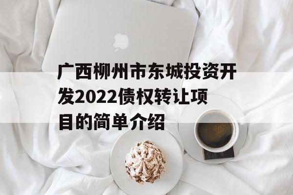 广西柳州市东城投资开发2022债权转让项目的简单介绍