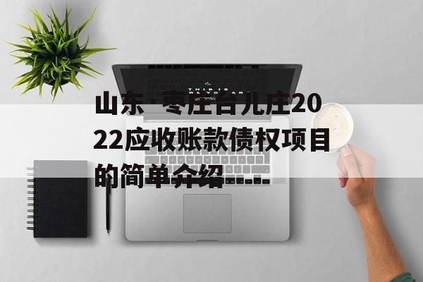 山东·枣庄台儿庄2022应收账款债权项目的简单介绍