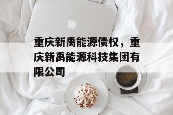 重庆新禹能源债权，重庆新禹能源科技集团有限公司