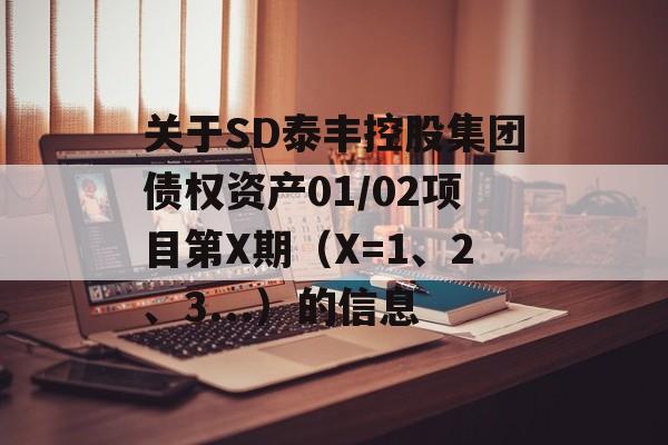 关于SD泰丰控股集团债权资产01/02项目第X期（X=1、2、3...）的信息