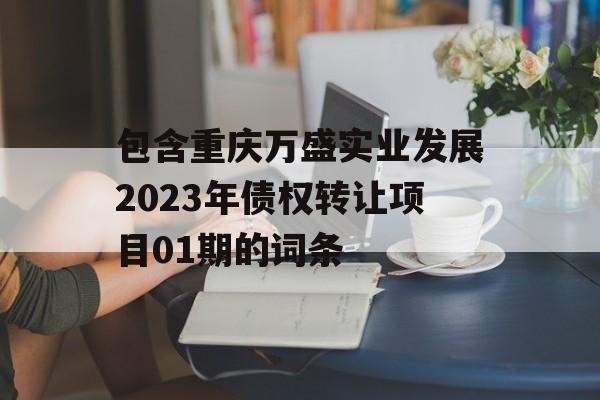 包含重庆万盛实业发展2023年债权转让项目01期的词条