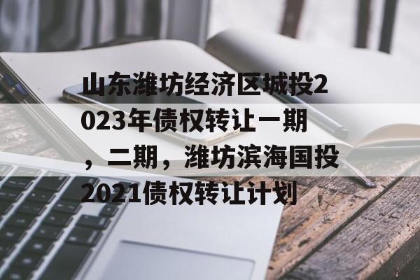 山东潍坊经济区城投2023年债权转让一期，二期，潍坊滨海国投2021债权转让计划