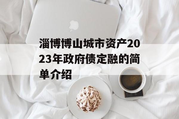 淄博博山城市资产2023年政府债定融的简单介绍