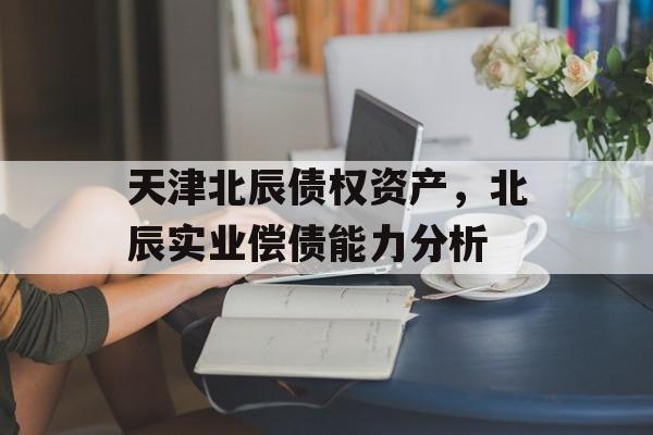 天津北辰债权资产，北辰实业偿债能力分析