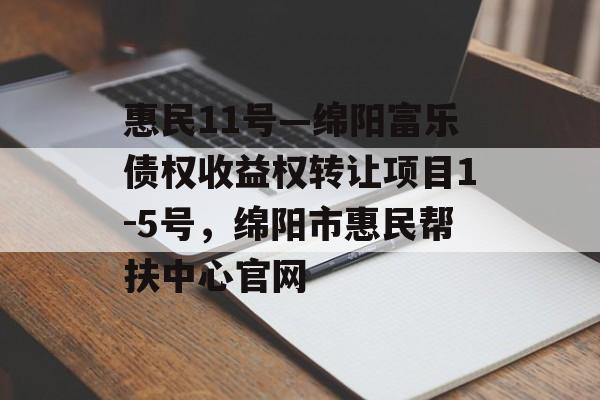 惠民11号—绵阳富乐债权收益权转让项目1-5号，绵阳市惠民帮扶中心官网