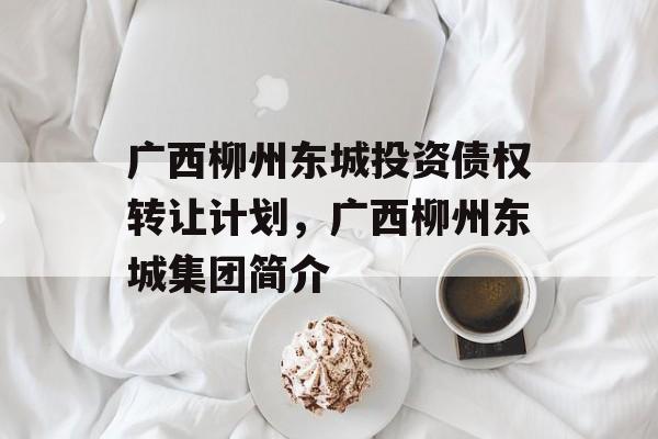 广西柳州东城投资债权转让计划，广西柳州东城集团简介