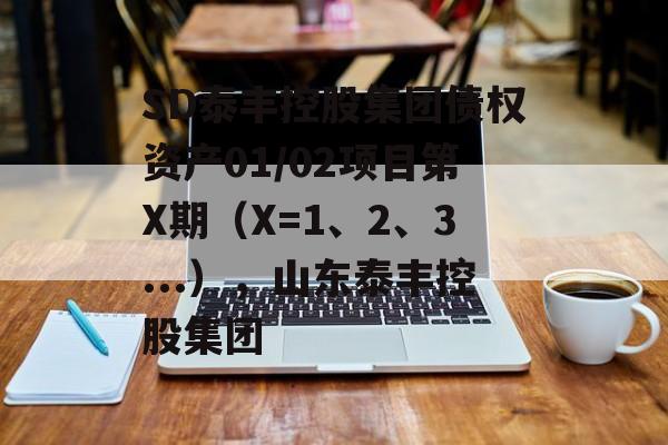 SD泰丰控股集团债权资产01/02项目第X期（X=1、2、3...），山东泰丰控股集团