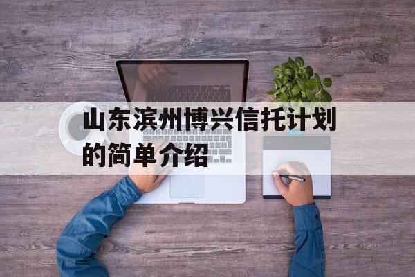 山东滨州博兴信托计划的简单介绍