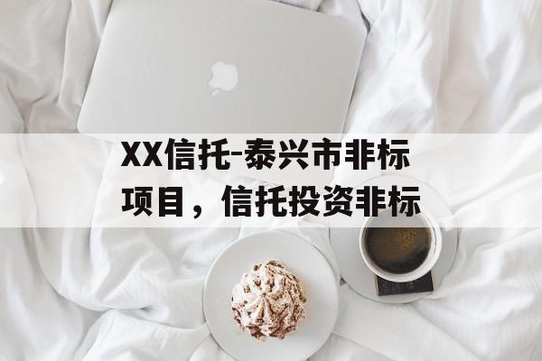 XX信托-泰兴市非标项目，信托投资非标