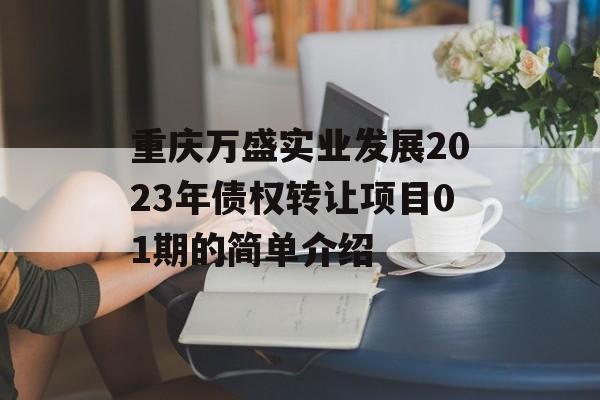 重庆万盛实业发展2023年债权转让项目01期的简单介绍