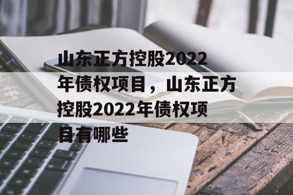 山东正方控股2022年债权项目，山东正方控股2022年债权项目有哪些