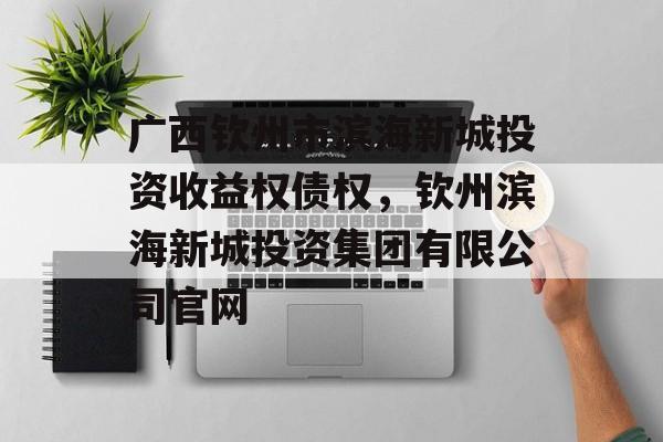 广西钦州市滨海新城投资收益权债权，钦州滨海新城投资集团有限公司官网