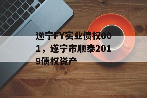 遂宁FY实业债权001，遂宁市顺泰2019债权资产