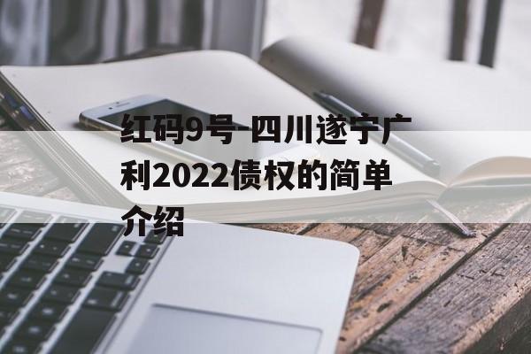 红码9号-四川遂宁广利2022债权的简单介绍