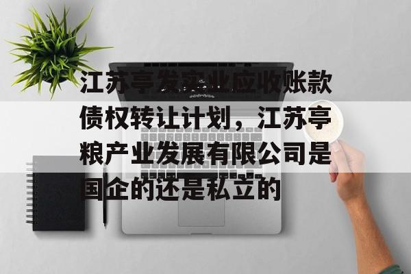 江苏亭发实业应收账款债权转让计划，江苏亭粮产业发展有限公司是国企的还是私立的