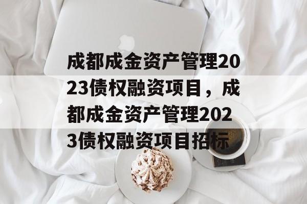 成都成金资产管理2023债权融资项目，成都成金资产管理2023债权融资项目招标