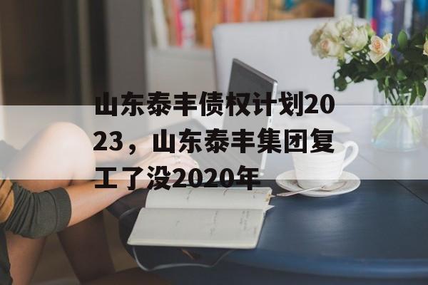 山东泰丰债权计划2023，山东泰丰集团复工了没2020年